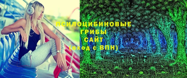 хмурый Козловка
